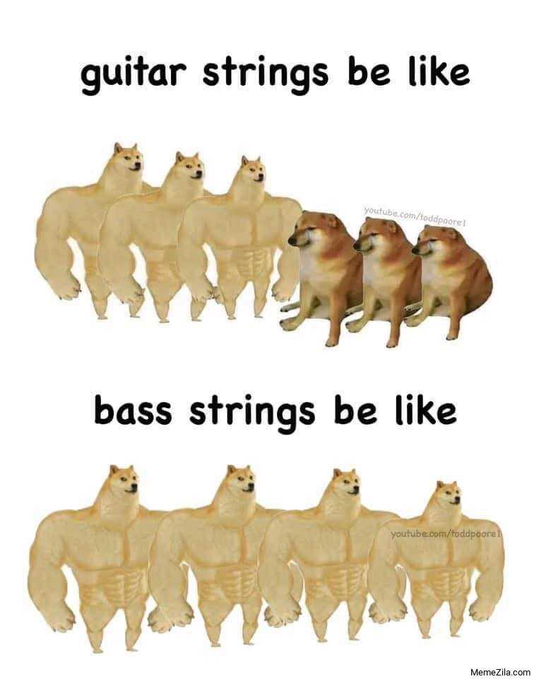 Guitar-strings-be-like-Bass-strings-be-like-meme-7727.jpg