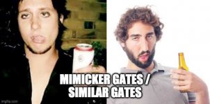 mimicer gates.jpg