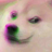 KingYoshi81