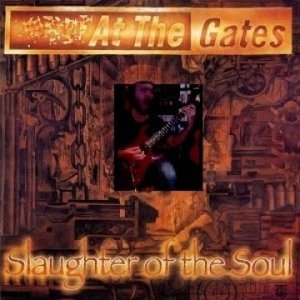 At the Gates - Slaughter of the Soul - Guitar cover with solo by Steven Perrone