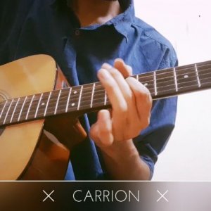 Guitar cover: Carrion (Parkway Drive)