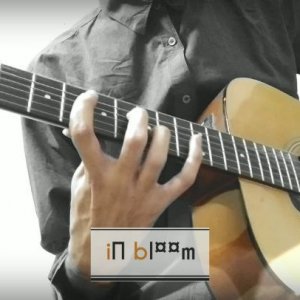 Guitar cover: In bloom (Nirvana)