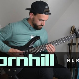 Thornhill - Nurture | Guitar Cover | Damien Reinerg