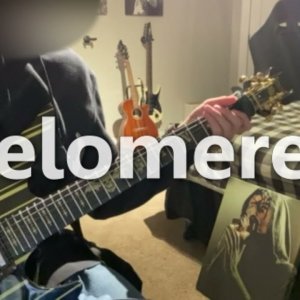 Sleep Token - Telomeres Guitar Solo